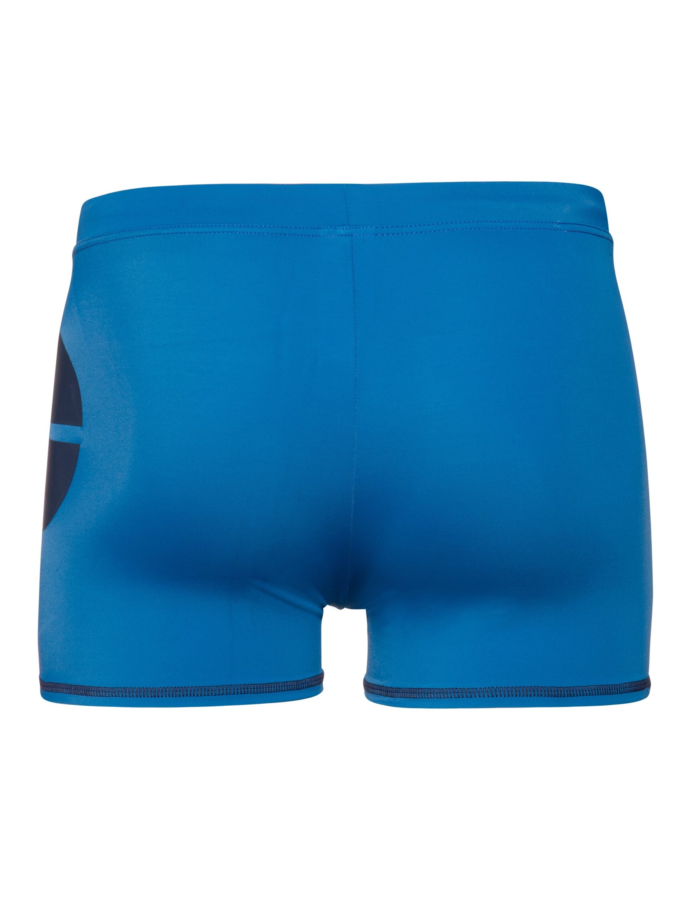 PROTEST Swim Trunks 'CARSTEN' in Blue