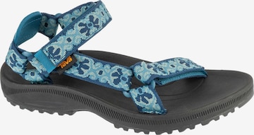 TEVA Sandal 'Teva W Winsted' in Blue: front
