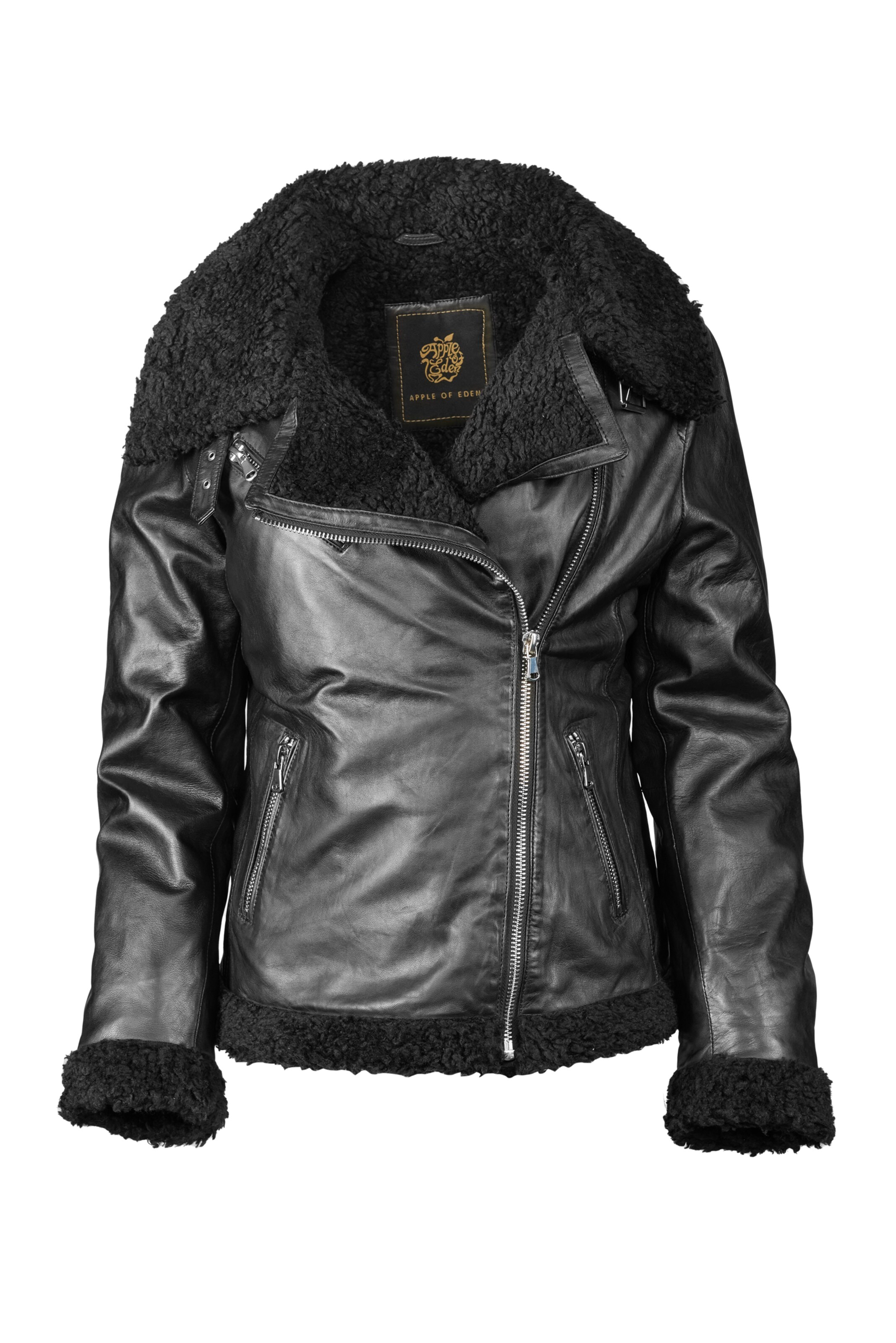 Apple of Eden Between-Season Jacket in Black: front