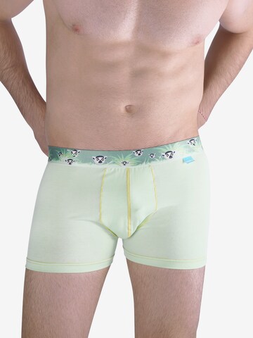 UNABUX Boxer shorts 'Tucan Dandy' in Green: front