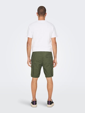 Regular Pantalon cargo 'Sinus' Only & Sons en vert