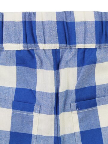 Toby Tiger Regular Pants in Blue