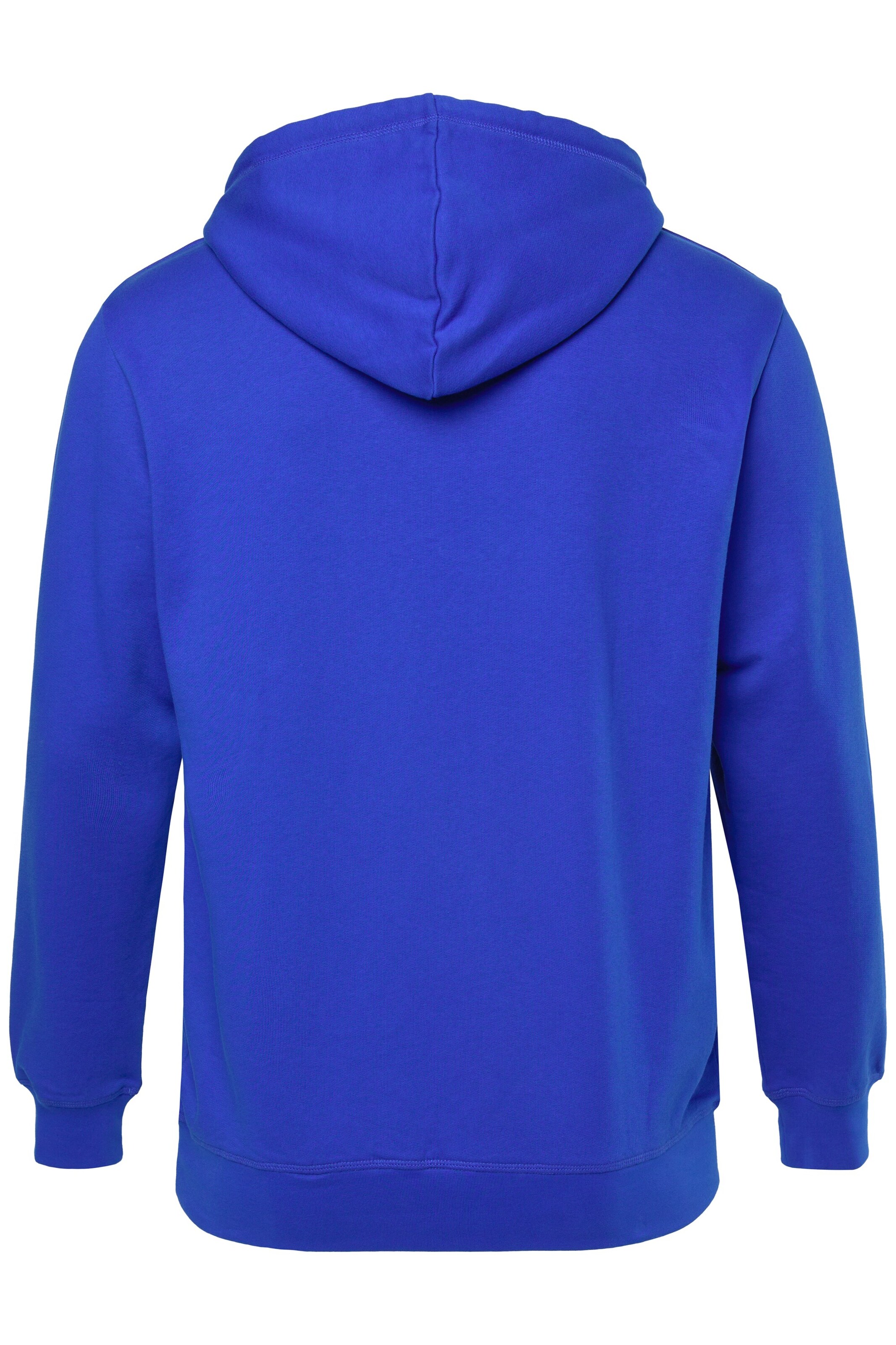 Men Plus Sweatshirt in Blauw