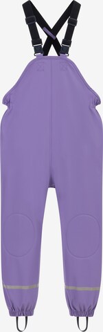 Regular Pantalon fonctionnel Schmuddelwedda en violet : devant