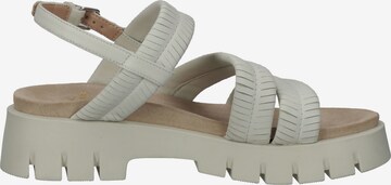 SANSIBAR Strap Sandals in Grey