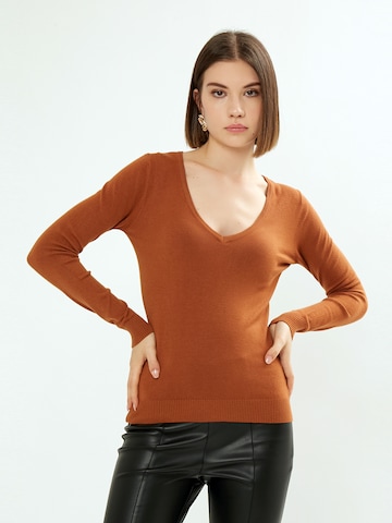 Influencer Sweater in Brown: front