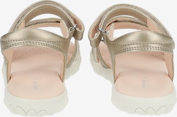 GEOX Sandals in Gold