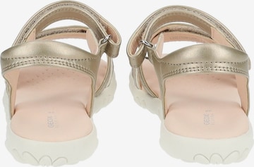 GEOX Sandalen in Goud