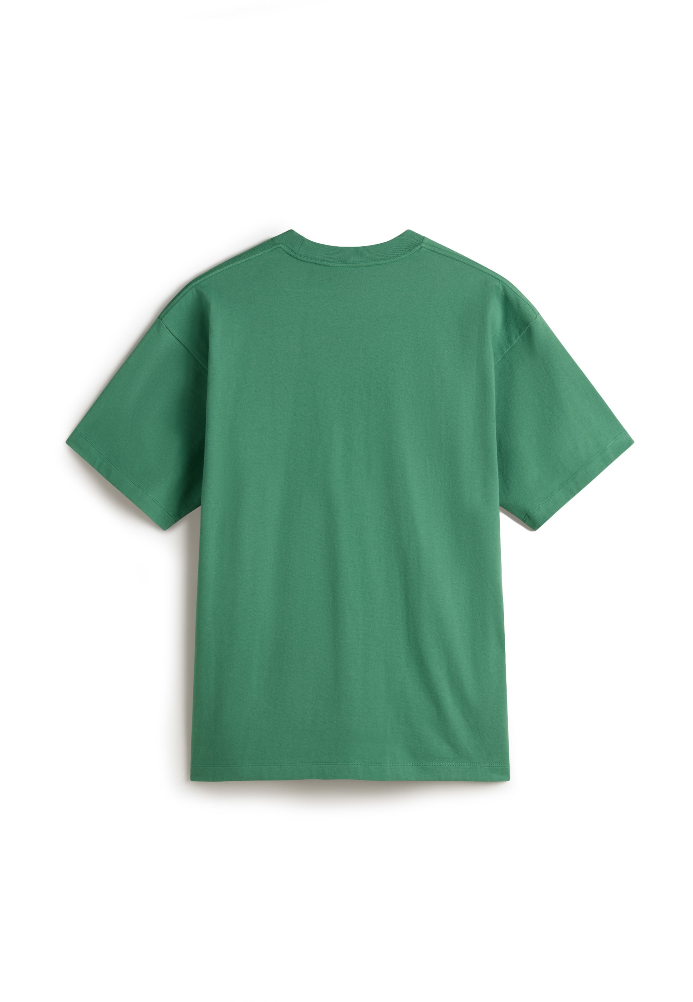 zaļš VANS T-Krekls: no priekšpuses