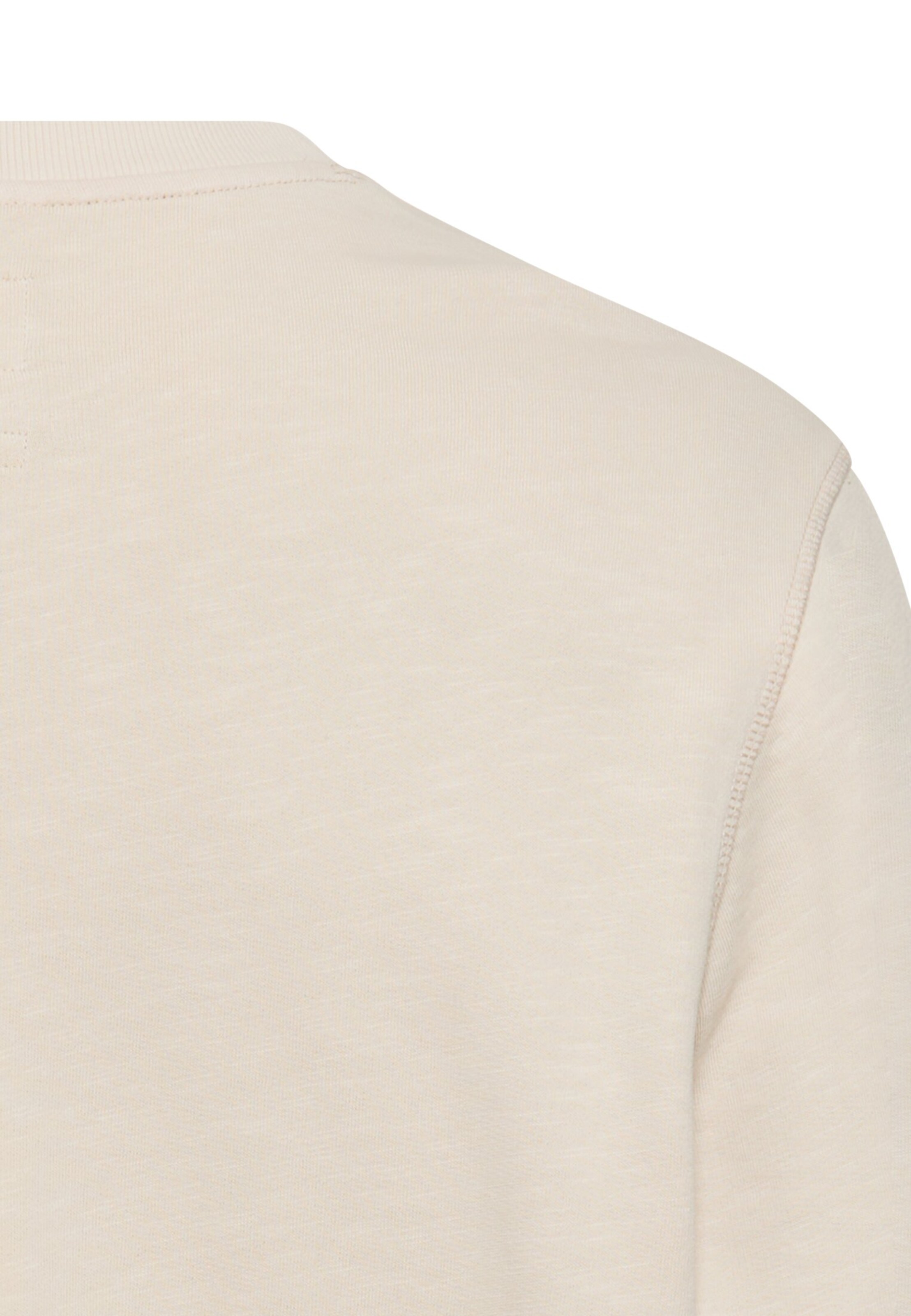 CAMEL ACTIVE Sweatshirt in Beige