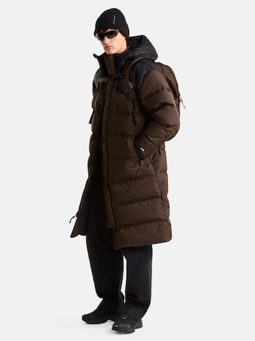 THE NORTH FACE Nahrbtnik 'Vault' | rjava barva