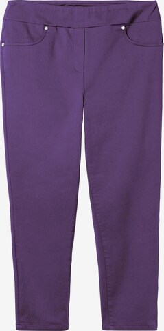 SHEEGO Pants in Purple: front