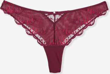 String di ETAM in rosso: frontale