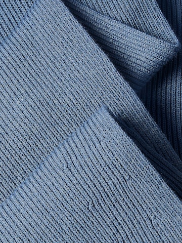 Calvin Klein Regular Schal in Blau