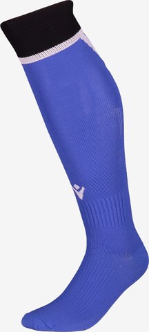 MACRON Soccer Socks in Blue: front