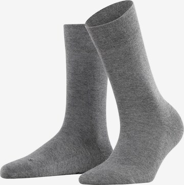 FALKE Socken in Grau: predná strana