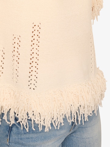 Adrianna Papell Trui in Beige