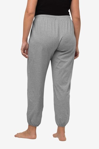 Ulla Popken Regular Pants in Grey