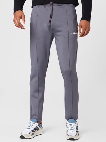 Pegador Regular Pants in Grey: front