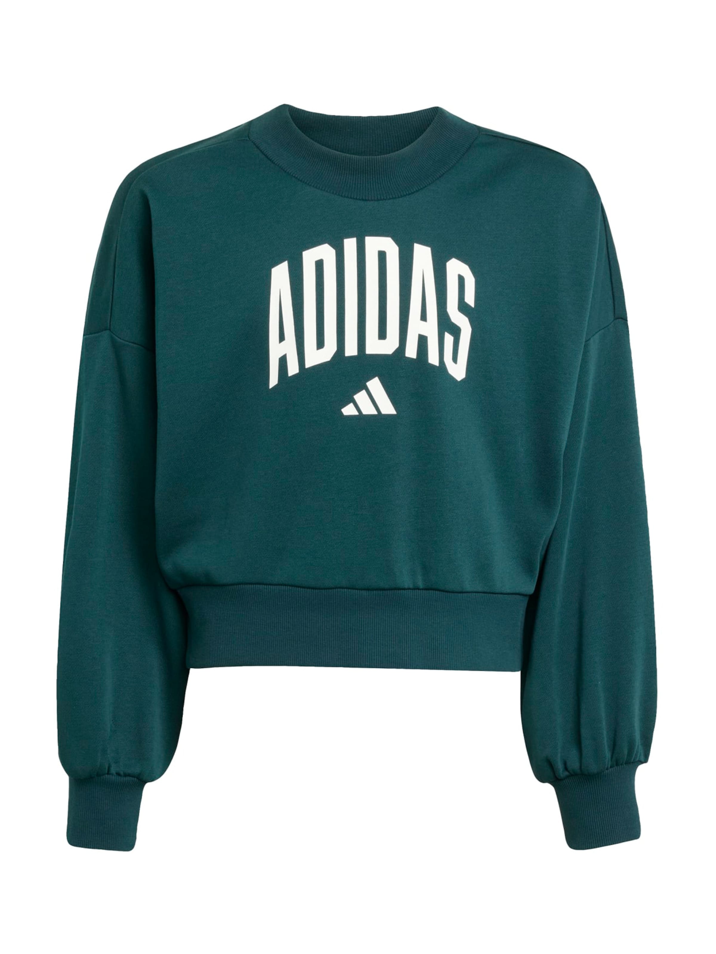 ADIDAS SPORTSWEAR Sportsweatshirt i grøn: forside