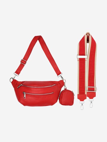 SevaBags Crossbody Bag in Red