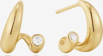 ANIA HAIE Ohrringe in Gold: Vorderseite