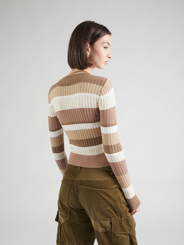 HOLLISTER Sweater 'WEBEX' in Brown