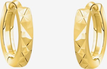 Sofia Milani Earrings 'Patternd' in Gold: front