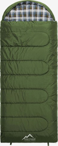 normani Sleeping Bag 'Antarctica' in Green: front