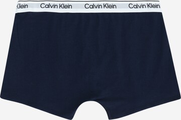 Calvin Klein Underwear Spodní prádlo – zelená