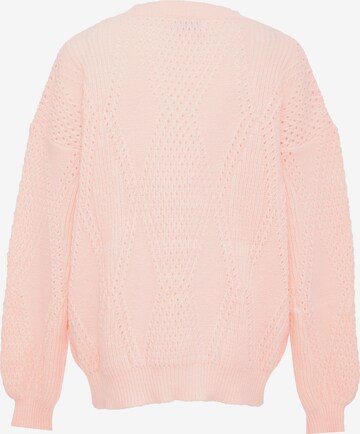 Pullover di BLONDA in rosa