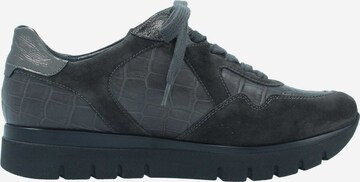 SEMLER Sneakers in Grey
