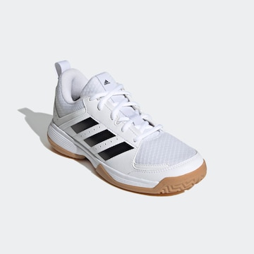 Chaussure de sport 'Ligra 7' ADIDAS PERFORMANCE en blanc