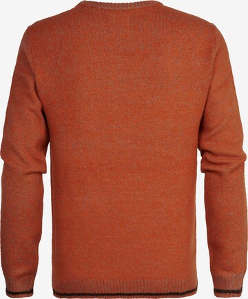 Petrol Industries Sweater in Orange