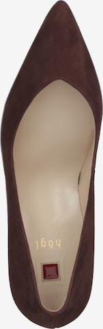 Högl Pumps in Brown