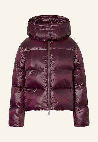 darling harbour Pufferjacke in Rot: Vorderseite