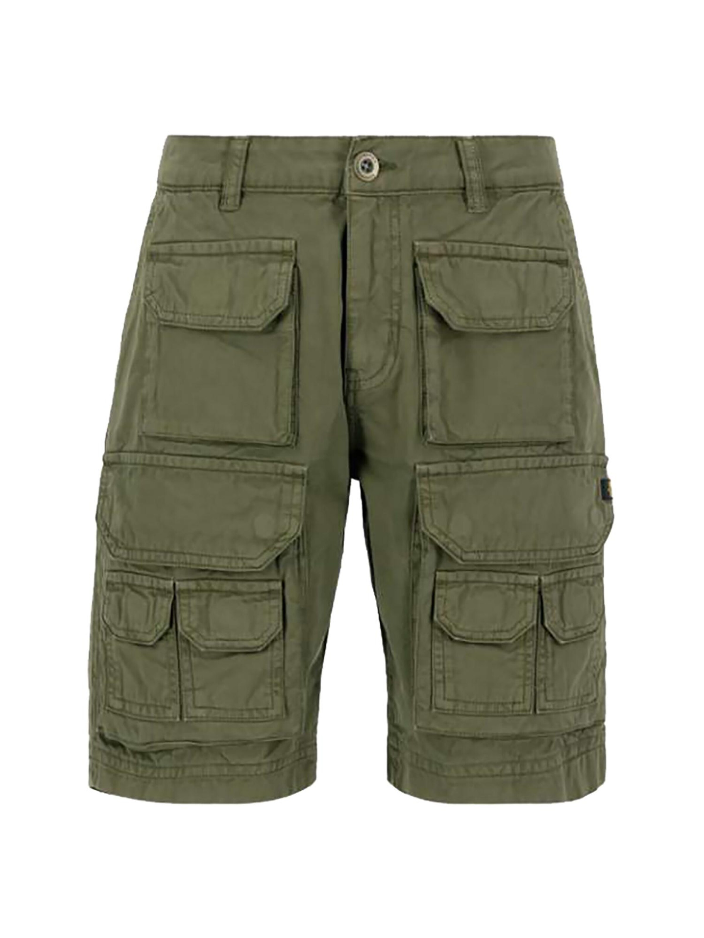 ALPHA INDUSTRIES Regular Cargohose 'Battle'‌‌‌‌‌‌‌‌‌ in Grün: Vorderseite