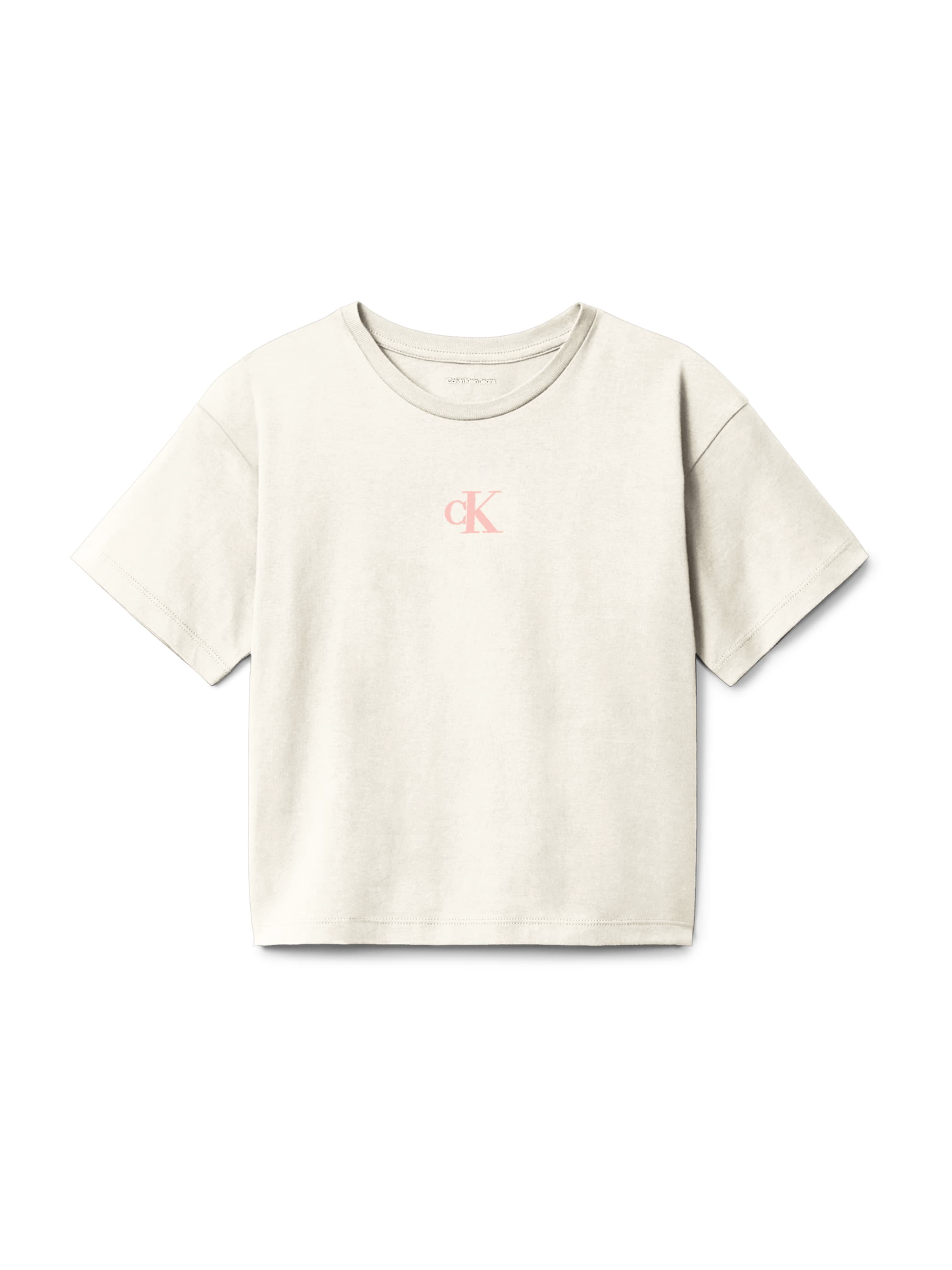 T-Shirt Calvin Klein Jeans en gris : devant