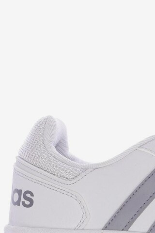 ADIDAS PERFORMANCE Sneakers & Trainers in 37,5 in White