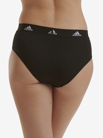 ADIDAS SPORTSWEAR Slip ' Real Cool Cotton ' in Mischfarben