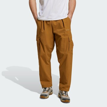 Loosefit Pantalon outdoor 'Xploric' ADIDAS TERREX en marron : devant
