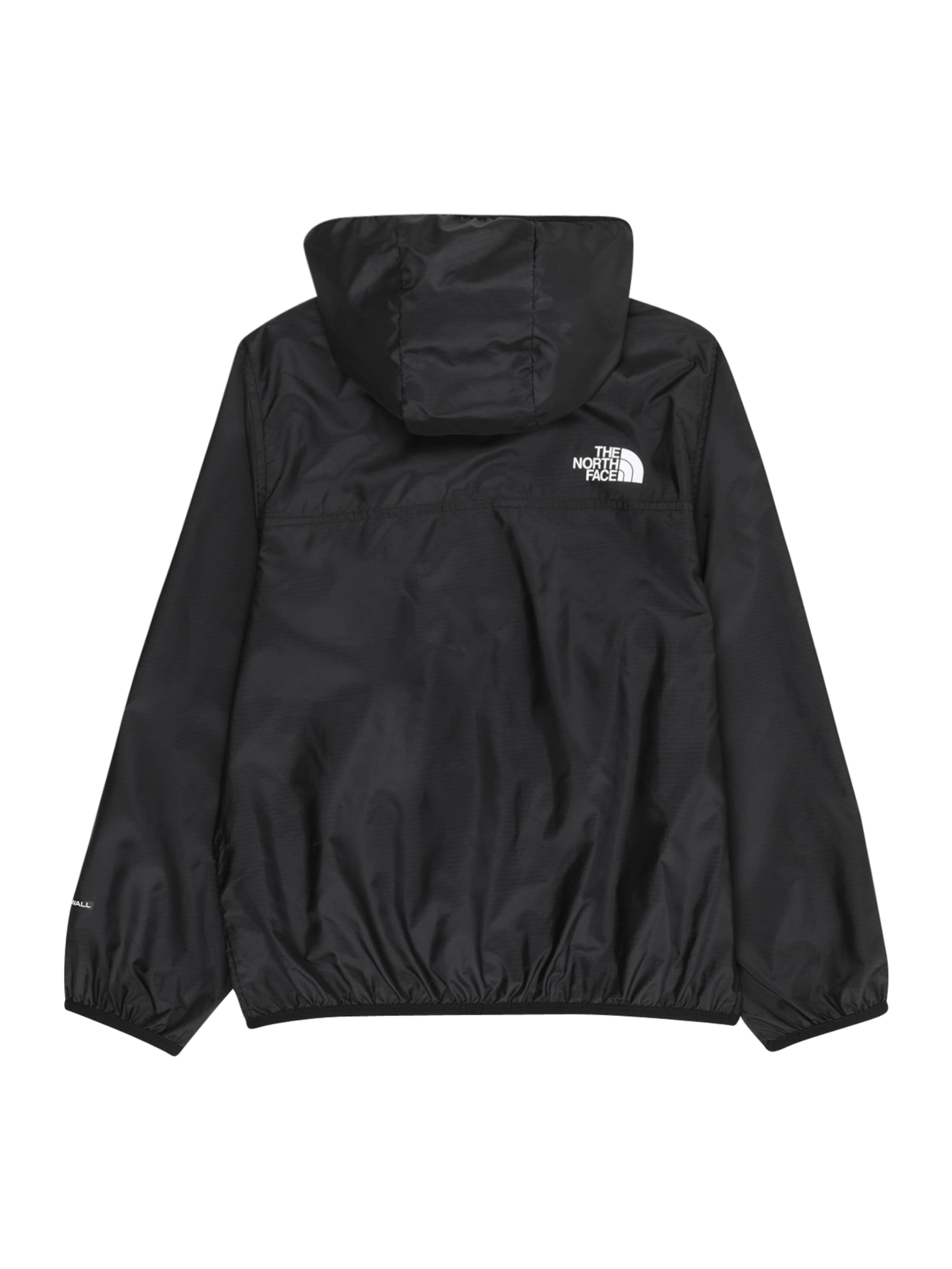 THE NORTH FACE Kültéri kabátok 'CYCLONE' - fekete