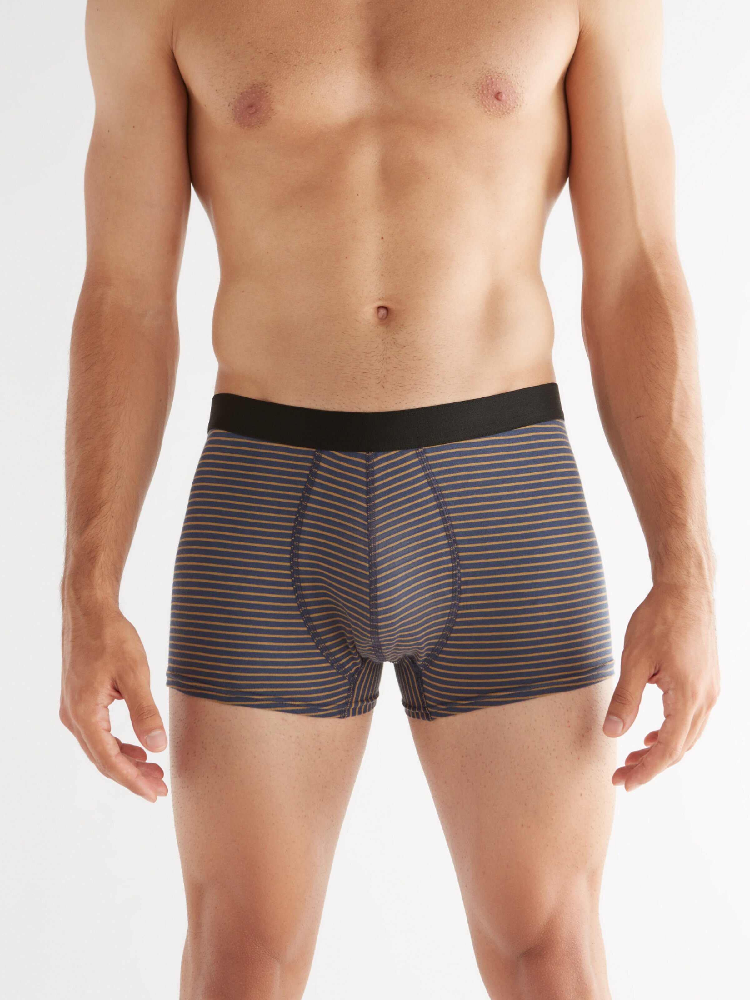 Albero Natur Boxer shorts 'Herren Trunkshorts aus Bio-Baumwolle' in Beige: front