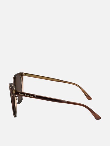Calvin Klein Sonnenbrille‌‌‌‌‌‌‌‌ in Braun