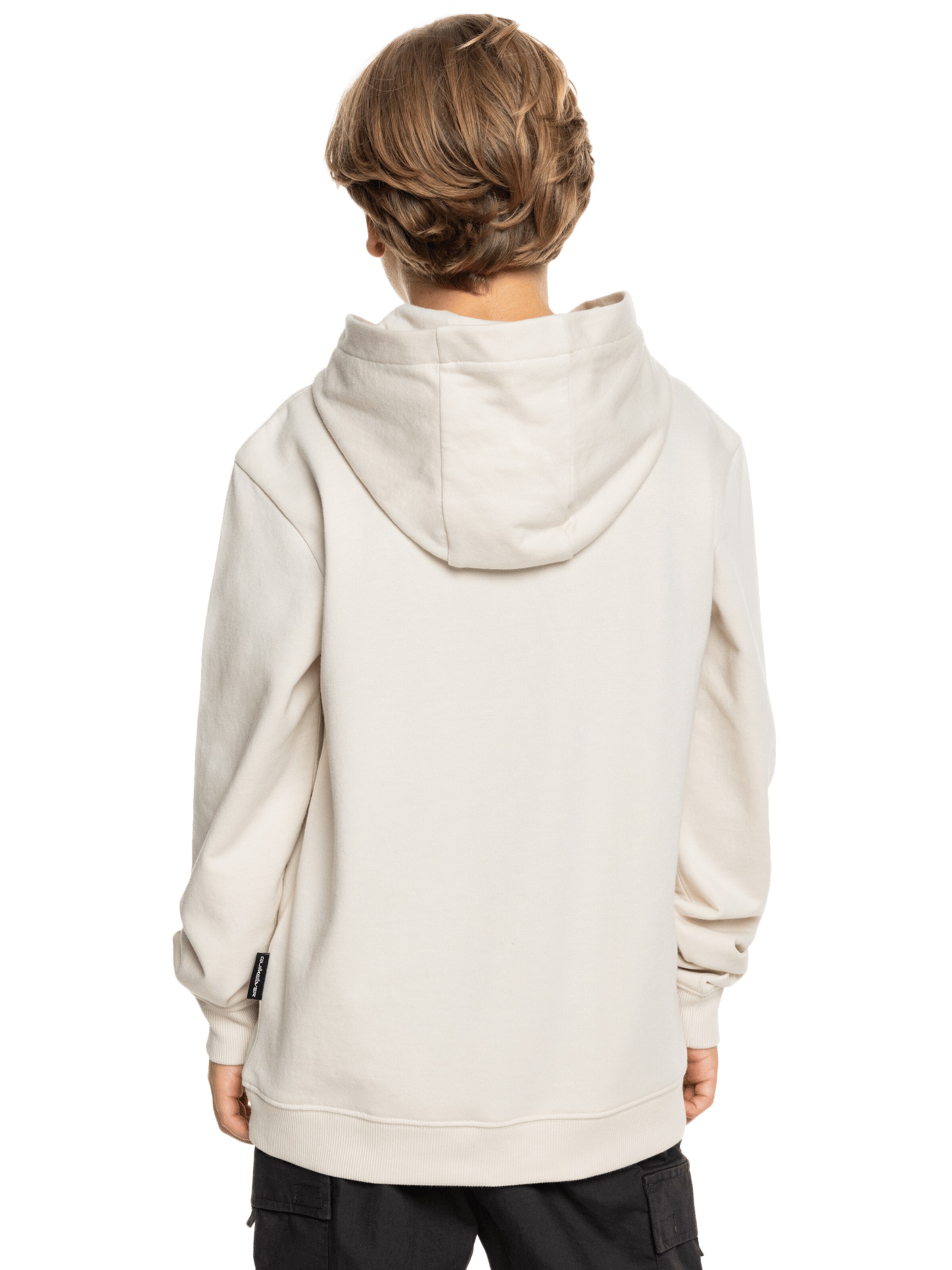 QUIKSILVER Sweatshirt in Beige