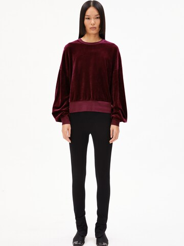 ARMEDANGELS Sweatshirt 'LEDIANAA' in Rood