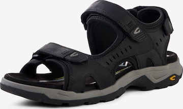 CAMEL ACTIVE Sandale in Schwarz: Vorderseite