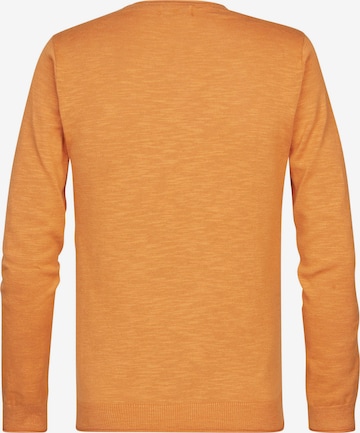 Petrol Industries Pullover in Orange