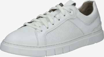 Baskets basses Pius Gabor en blanc : devant