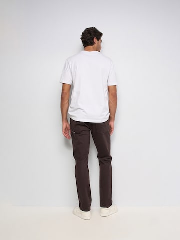 Salsa Jeans Chino in Bruin